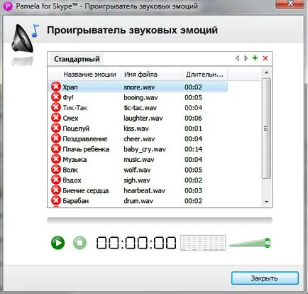 Pamela pentru Skype ea