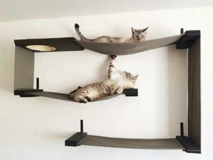 Top 13 articole de mobilier de design pentru pisici și stăpânii lor (pisici) Top 13 articole de mobilier de design pentru pisici și stăpânii lor