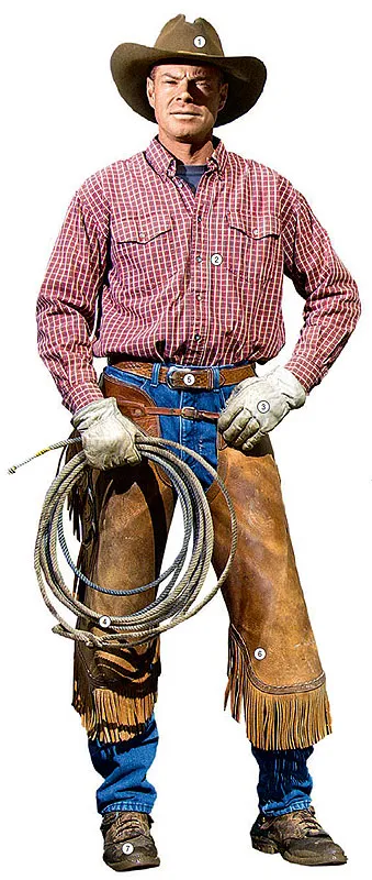 8 caracteristici ale publicației cowboy prezent în jurul valorii de lumină (în jurul) 8 caracteristici ale publicației cowboy prezent în jurul luminii