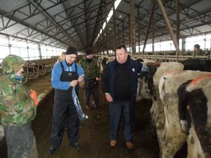 4 Metoda ca vacile determină sarcina