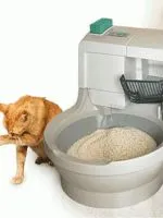 Antibiotice pentru pisici