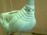 grădină Stork cu propriile sale mâini (mâini) grădină Stork cu propriile sale mâini