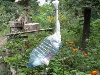Stork Garden cu mâinile lor (lor) grădină Stork cu propriile sale mâini