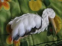 Stork Garden cu mâinile lor (lor) grădină Stork cu propriile sale mâini