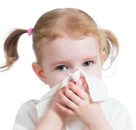 Alergia la simptomele și tipurile de papagali