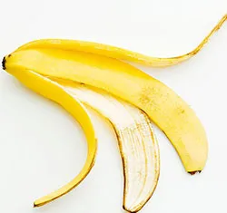Coaja de banana ca îngrășământ - de ce nu aruncati coaja (coaja) Coaja de banana ca îngrășământ - de ce nu aruncați coaja