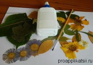 Aplicație - care este de a lipi de frumusete afară