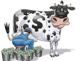 bannere broker