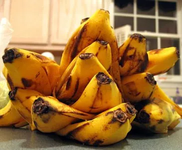 Coaja de banana ca îngrășământ pentru gradina de legume, plante de apartament, flori (îngrășăminte) Coaja de banana ca îngrășământ pentru gradina de legume, flori, Plante de casa