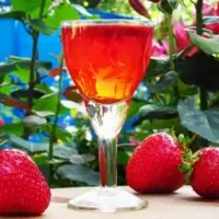 Mâncăruri cu căpșuni 459 rețete