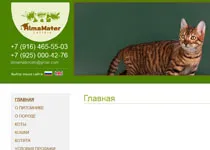 site-ul de afaceri pentru 2 zile! Site-uri de proiectare și de a construi pentru afaceri