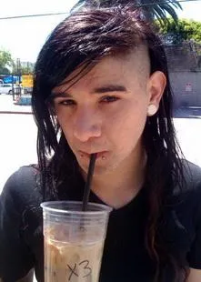 Biografie Skrillex (Skrillex)