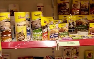 Plan de afaceri pentru producția de hrană pentru câini și pisici (de afaceri) Plan de afaceri pentru producția de hrană pentru câini și pisici