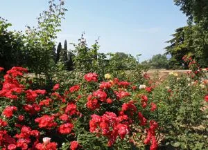 Grădina Botanică din Crimeea