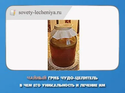 Kombucha miracol vindecător, ceea ce este unicitatea sa și i-au tratat