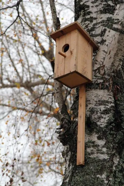 Ce fac păsările (recomandări referitoare la cum să agățați Birdhouse) - Masters Fair - lucru manual (păsări) Ce fac păsările (recomandări referitoare la cum să agățați Birdhouse) - Masters Fair - lucrate manual,