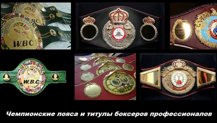 titluri de box Campionatul