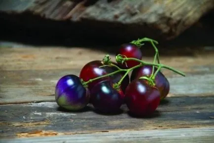 tomate negre - grad, descriere, cultivarea cu propriile lor mâini (tomate) tomate negre - grad, descriere, cultivarea cu propriile lor mâini