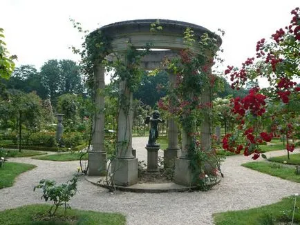 Este o astfel de priveliște - întreținere parc reguli trandafiri, plantarea și cultivarea soiului, fotografie (frunze structura mată) Este o astfel de priveliște - întreținere parc reguli trandafiri, plantarea și cultivarea soiului, fotografii