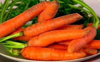 Ce trebuie să faci pentru a fi pe corp nu au apărut noi nevilor - Sănătate News - eficiente