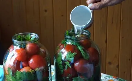 Ce puteți face cu roșii moduri de tomate de recoltare în timpul iernii