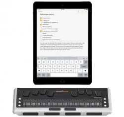 Ce este o voce peste în ios și ce să facă (magazin de mere) Ce este o voce peste în ios și ce să facă