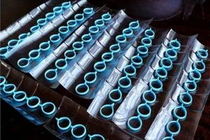 Flori de mastic - o clasă de master pentru începători