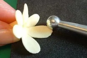 Flori de mastic - o clasă de master pentru începători