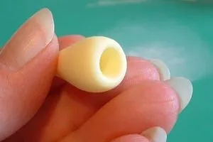 Flori de mastic - o clasă de master pentru începători