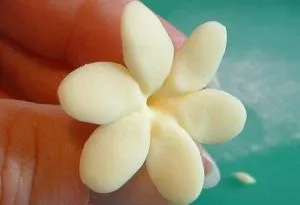 Flori de mastic - o clasă de master pentru începători