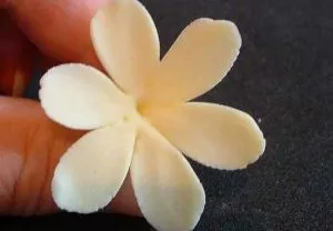 Flori de mastic - o clasă de master pentru începători