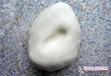 Flori de mastic cu clasa lor de master hands-pas