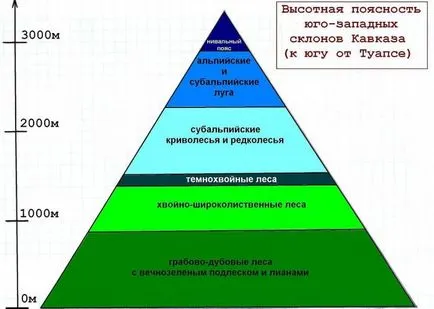 Ce este o zonă de altitudine mare altitudine explică Eurasia (limita superioară a pădurii) Ce este o zonă de altitudine de mare altitudine explica Eurasia