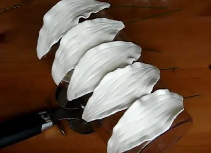 Flori de mastic cu mâinile pas cu pas fotografii (lor) Flori de mastic cu mâinile pas cu pas fotografie