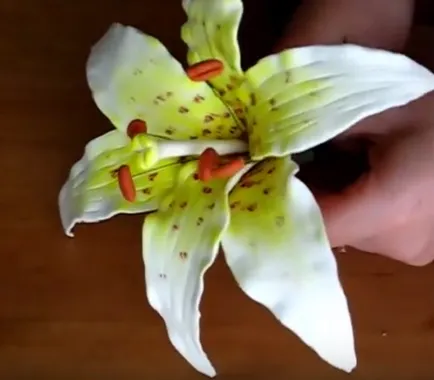 Flori de mastic cu mâinile pas cu pas fotografii (lor) Flori de mastic cu mâinile pas cu pas fotografie