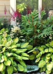 ghivece de flori și plantatori de pe site-ul dvs. (ghivece de flori de stradă) ghivece de flori și plantatori de pe site-ul dvs.