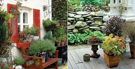 ghivece de flori și plantatori de pe site-ul dvs. (ghivece) ghivece de flori și plantatori de pe site-ul dvs.