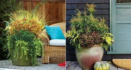 ghivece de flori și plantatori de pe site-ul dvs. (ghivece de flori) ghivece de flori și plantatori de pe site-ul dvs.