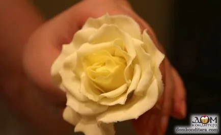 Flori de mastic cu pas mâinile sale cu clasa de master pas cu fotografii și video