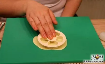 Flori de mastic cu pas mâinile sale cu clasa de master pas cu fotografii și video