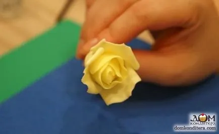 Flori de mastic cu pas mâinile sale cu clasa de master pas cu fotografii și video