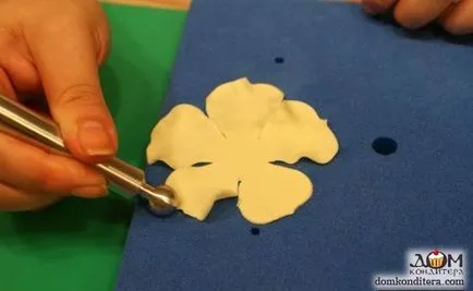 Flori de mastic cu pas mâinile sale cu clasa de master pas cu fotografii și video