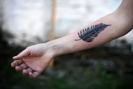 Flower valoare ferigă aplicare warding slave simbol culoare Perunov, tatuaj, broderie (talisman) Fern valoare floare talisman slavă, folosiți Perunov simbol de culoare, tatuaj, broderie