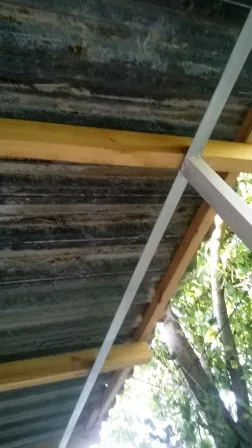 baldachin ieftine cu mâinile