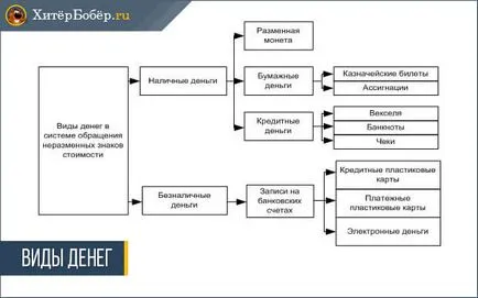 Bani - o privire de ansamblu completă a conceptului de funcții și tipuri de bani