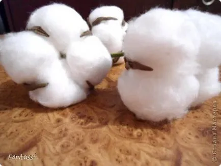 Noi facem-te pentru decor bumbac, artiști țară