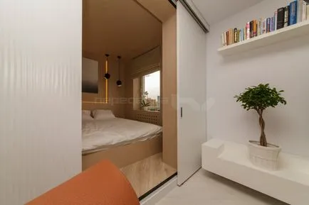 Proiectare si living interior cu zone de living și de dormit