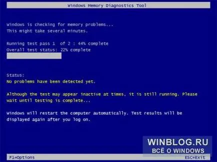 ferestre Diagnostic RAM 7