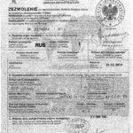 Permis - Ce este - importatorul însuși (permis) Permis - Ce este - importatorul însuși