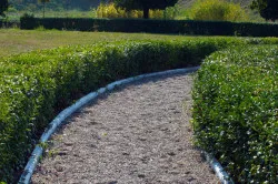 Traseele din dispozitivul de moloz (foto) ( „perna“ Track moloz) Culoarele de dispozitiv moloz (foto)
